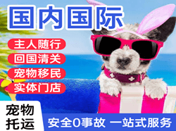 连城冠豸山机场快运国际宠物托运 【国
